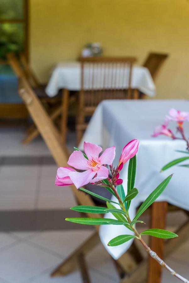 Halászi Regia Panzio Bed & Breakfast エクステリア 写真