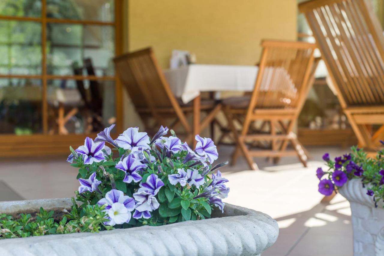Halászi Regia Panzio Bed & Breakfast エクステリア 写真